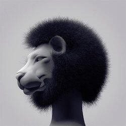 afrolion-image